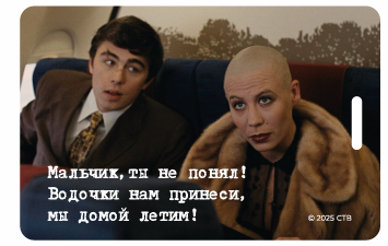 Картхолдер Брат Домой летим 220₽